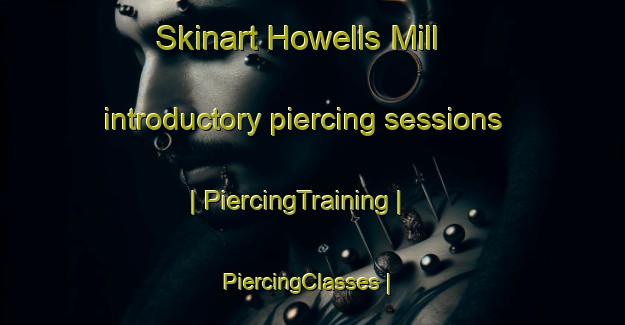 Skinart Howells Mill introductory piercing sessions | PiercingTraining | PiercingClasses | SkinartTraining-United States